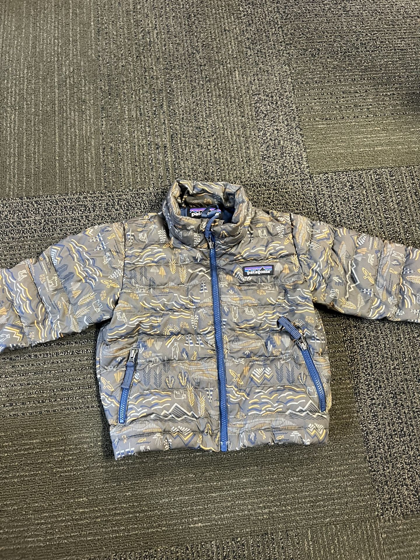 Patagonia Jacket