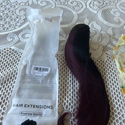 Hair Extension Clip