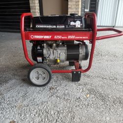 Troy Bilt Generator 