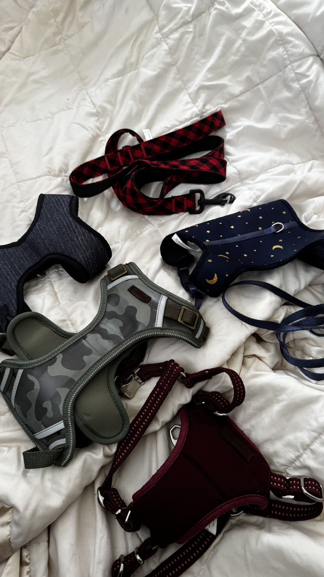 Dog Harnesses Deal Reddy