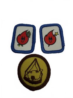 Vintage Scout Merit Badge & FIRE Uniform Patches Lot of 3