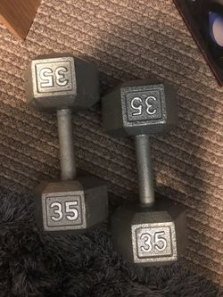 35LB Weights