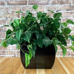 Faux 18" Pothos Plant in Brushed Bronze Metal Container