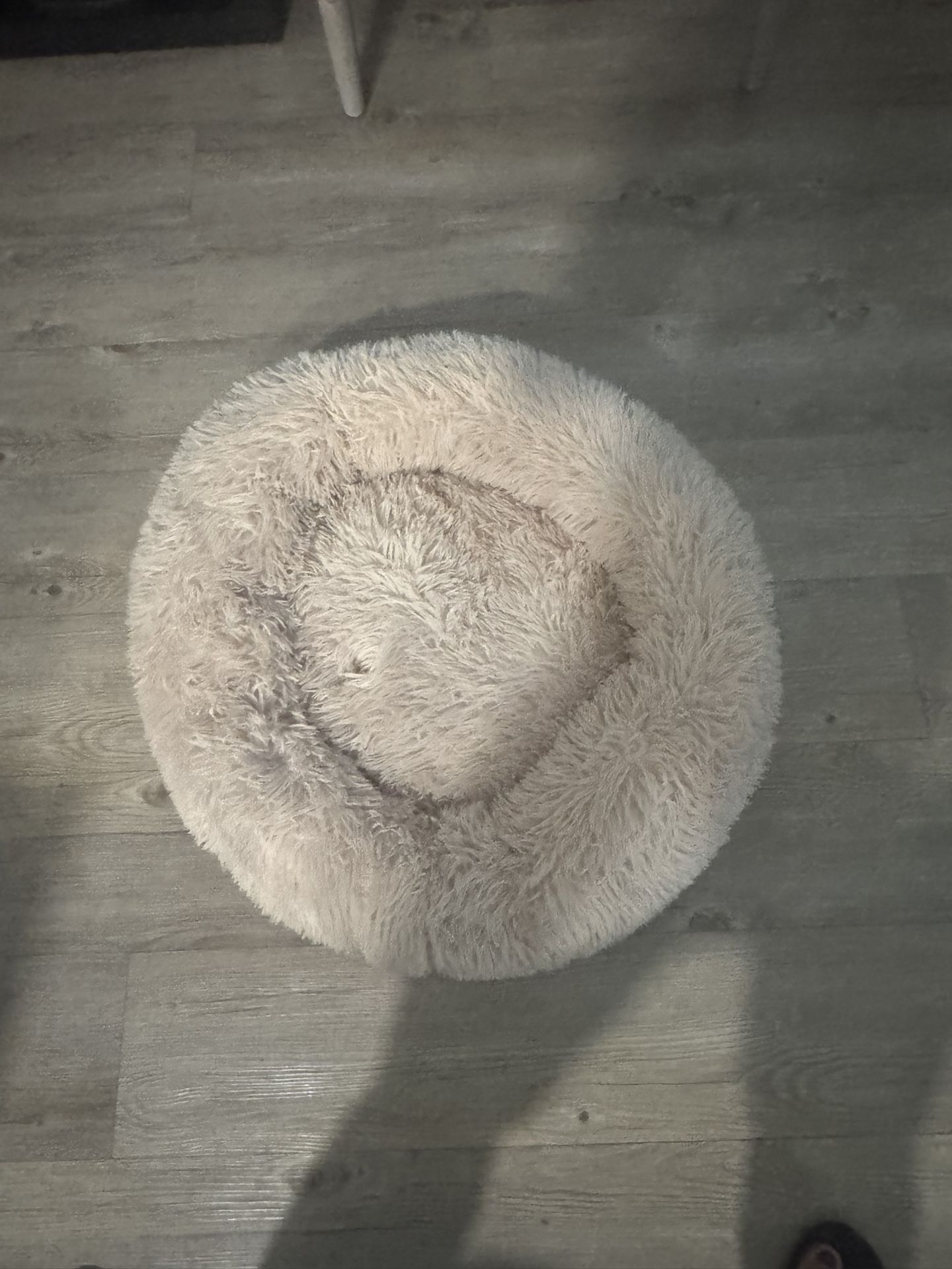 Camita De Perro O Gato
