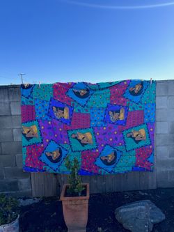 Vintage Pocahontas Comforter Blanket