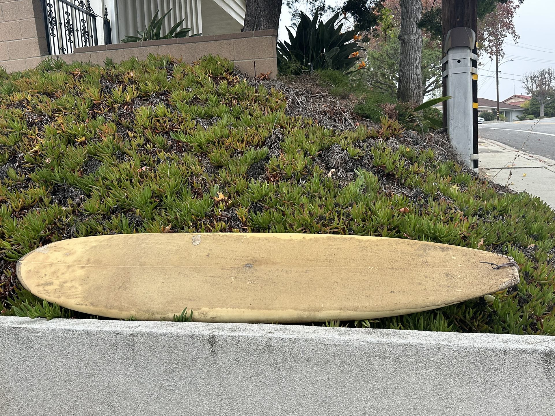 Free 8ft Surfboard