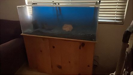 Truvuu 65 gallon tank with a blue background