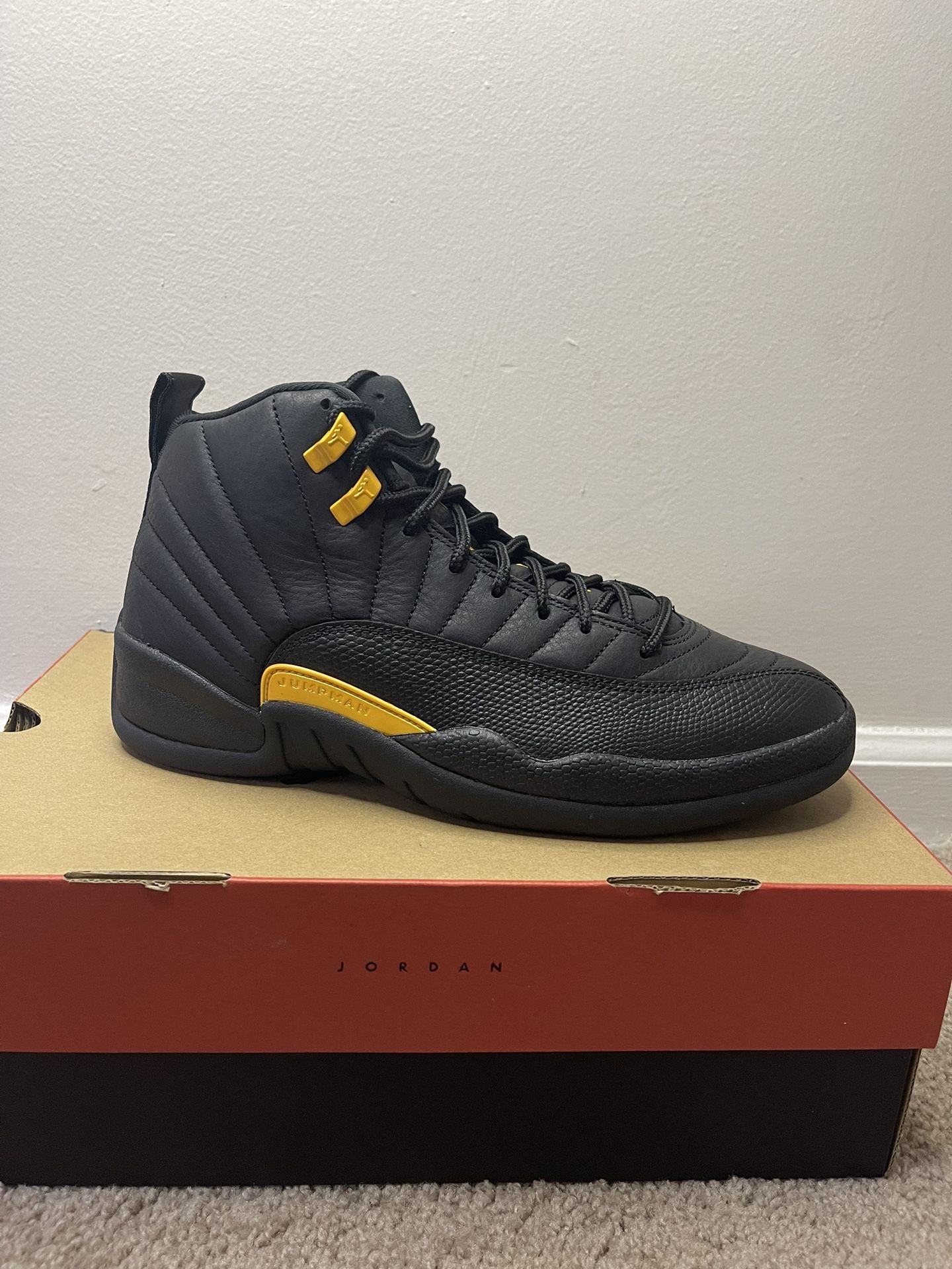 Jordan 12