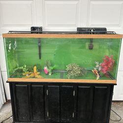 Aquarium Tank 55 Gallon ,stand Is SOLD!Filter ,lite Holds Water!