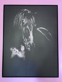 Black Horse Frame 41”x31”
