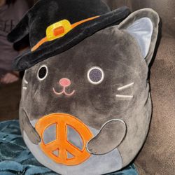 Squishmallows 