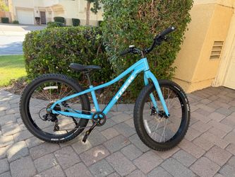 Trek Roscoe 24