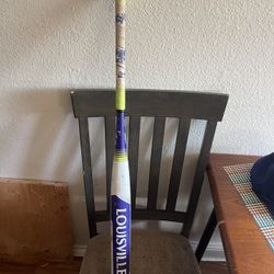 Softball Bat 