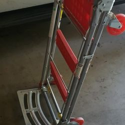 Dolly Cart With Ladder