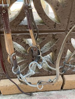 Horse Bridles