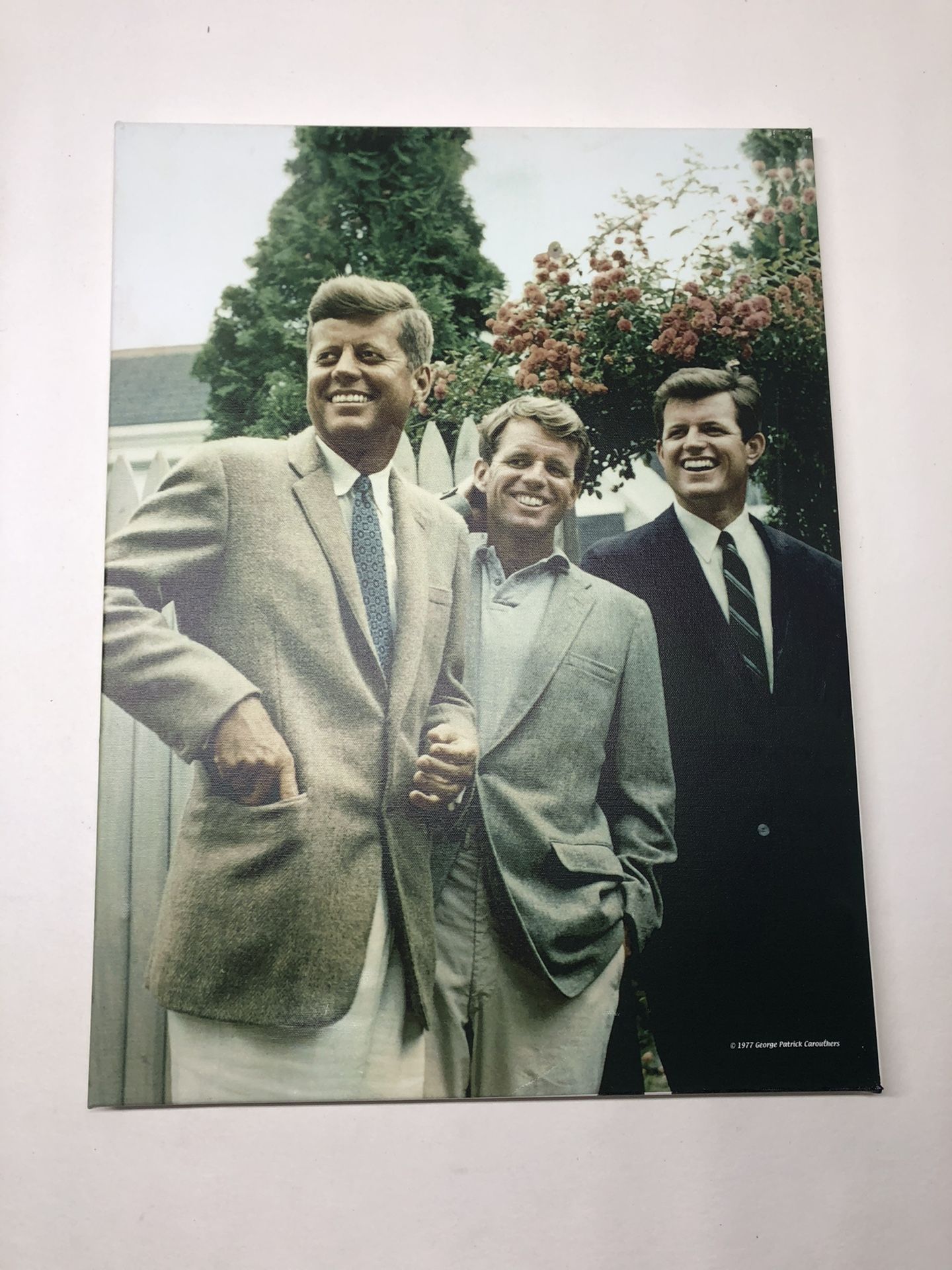Brothers, John F. Kennedy, Robert Kennedy, and Ted Kennedy, Canavas 18x24