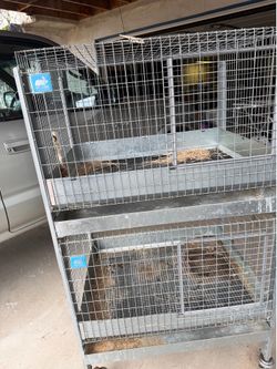 KW 4000 stacked rabbit cages