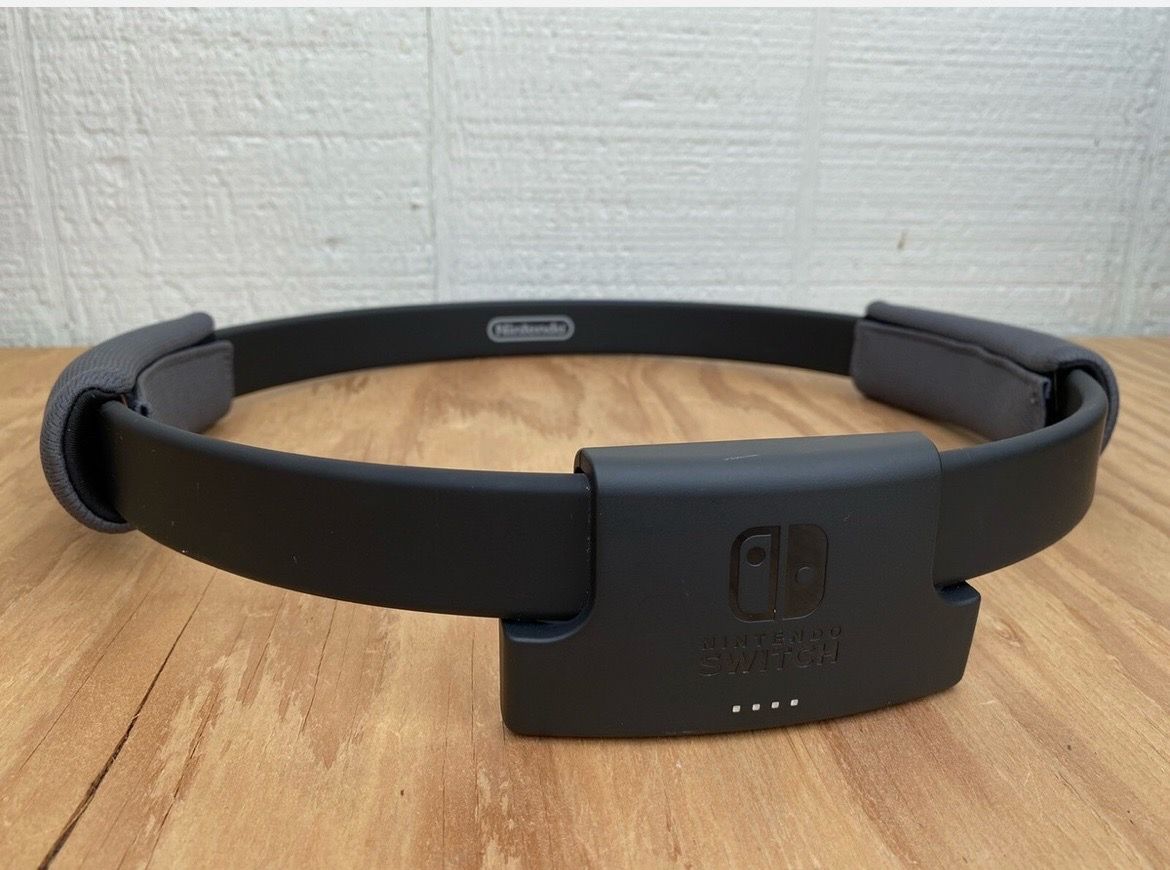Nintendo switch fit band only