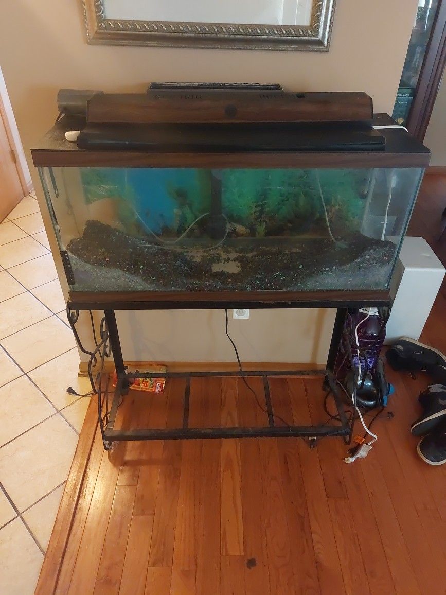 30 Gallon Fish Tank With Stand