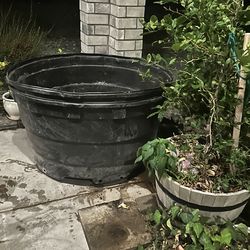 commercial nursery container
