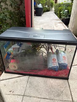 10 gallon fish tank