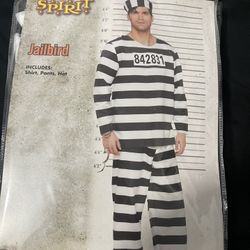 Halloween Costume Jailbird