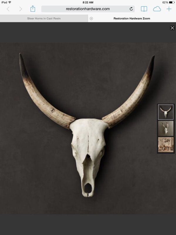 Restoration hardware steer skull