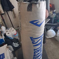 Everlast Punching Bag