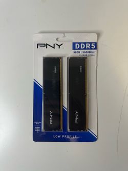 32GB DDR5 5600mhz low profile PNY RAM