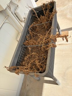 Raised Garden