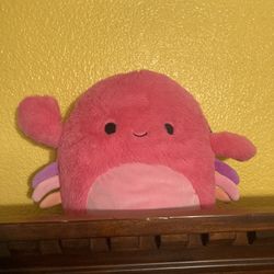 Fluffy Squishmallows! 