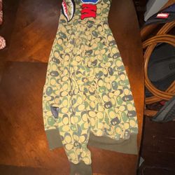 Green Coach Bape Hoodie