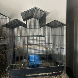 Bird Cage 