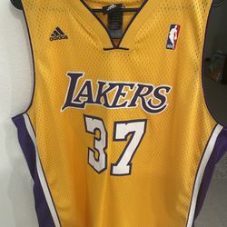 Ron Artest Lakers Jersey 