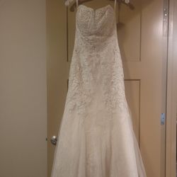 NEVER WORN wedding dress and veil
