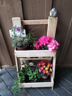 Garden Spring Flower or Herb Planter