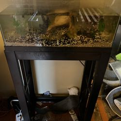 Fish Tank With Fish  Must GoO NOW!!!