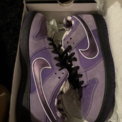 NIKE SB Purple Lobster 