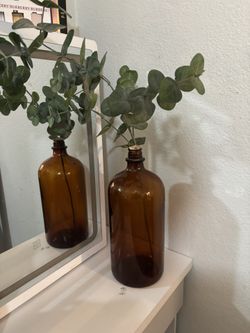 Cute Plant With Bottle