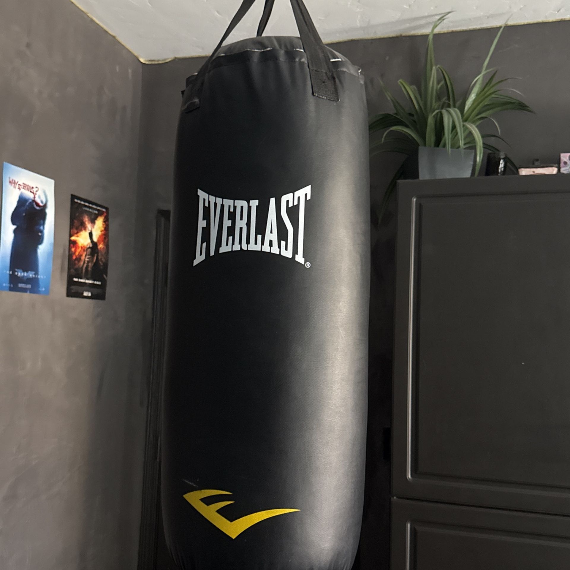 Everlast Punching Bag