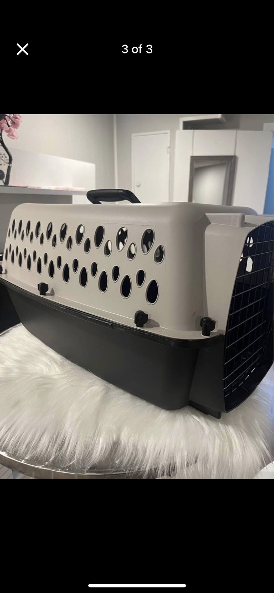 Small Pet Crate