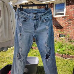 American Eagle 