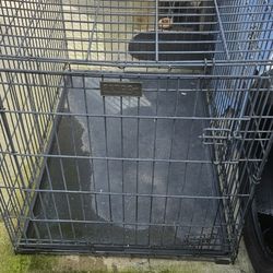 Dog Kennel