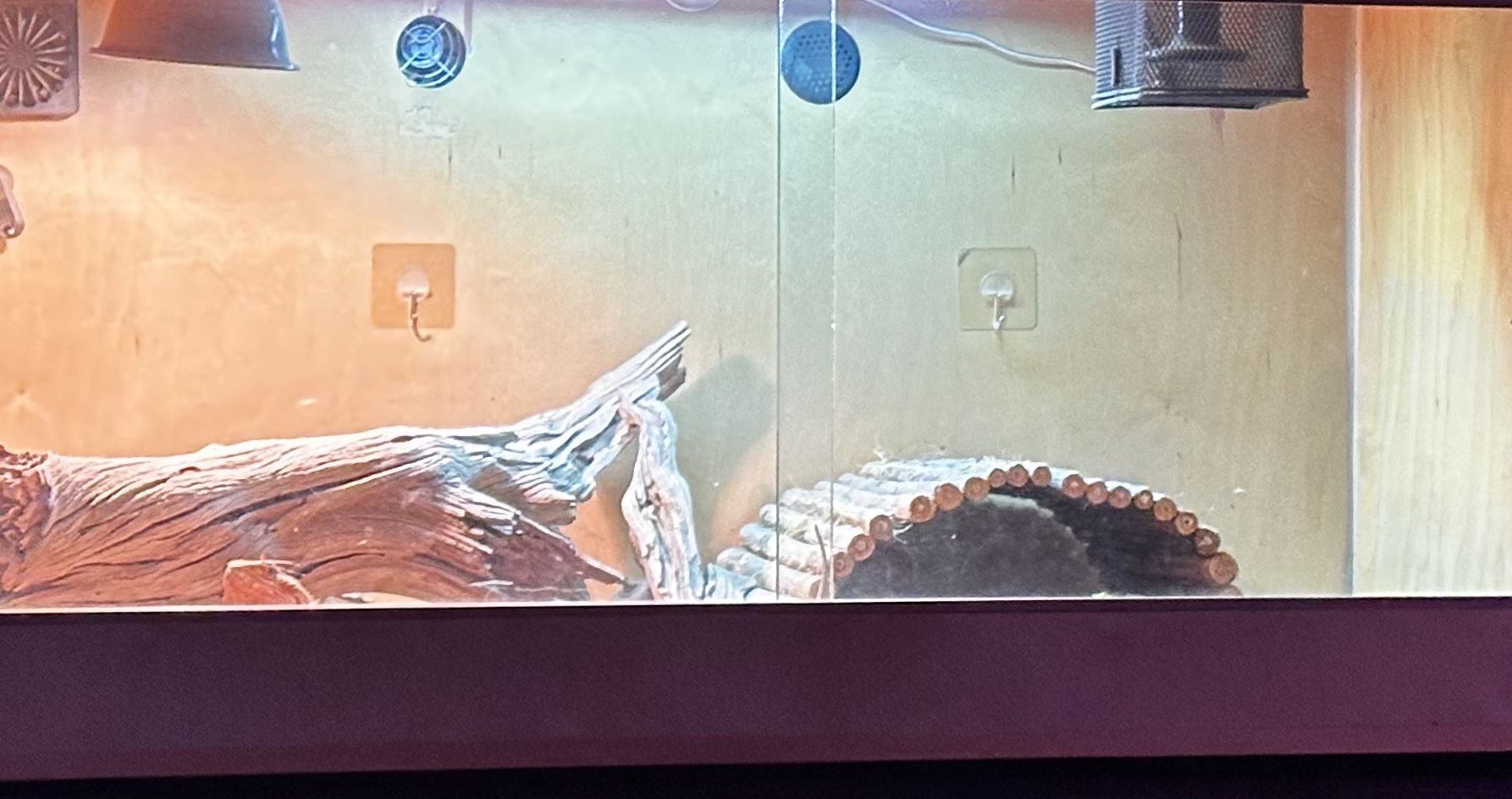 120 Gallon Reptile Enclosure