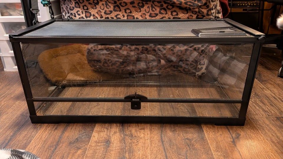 20 gallon reptile tank