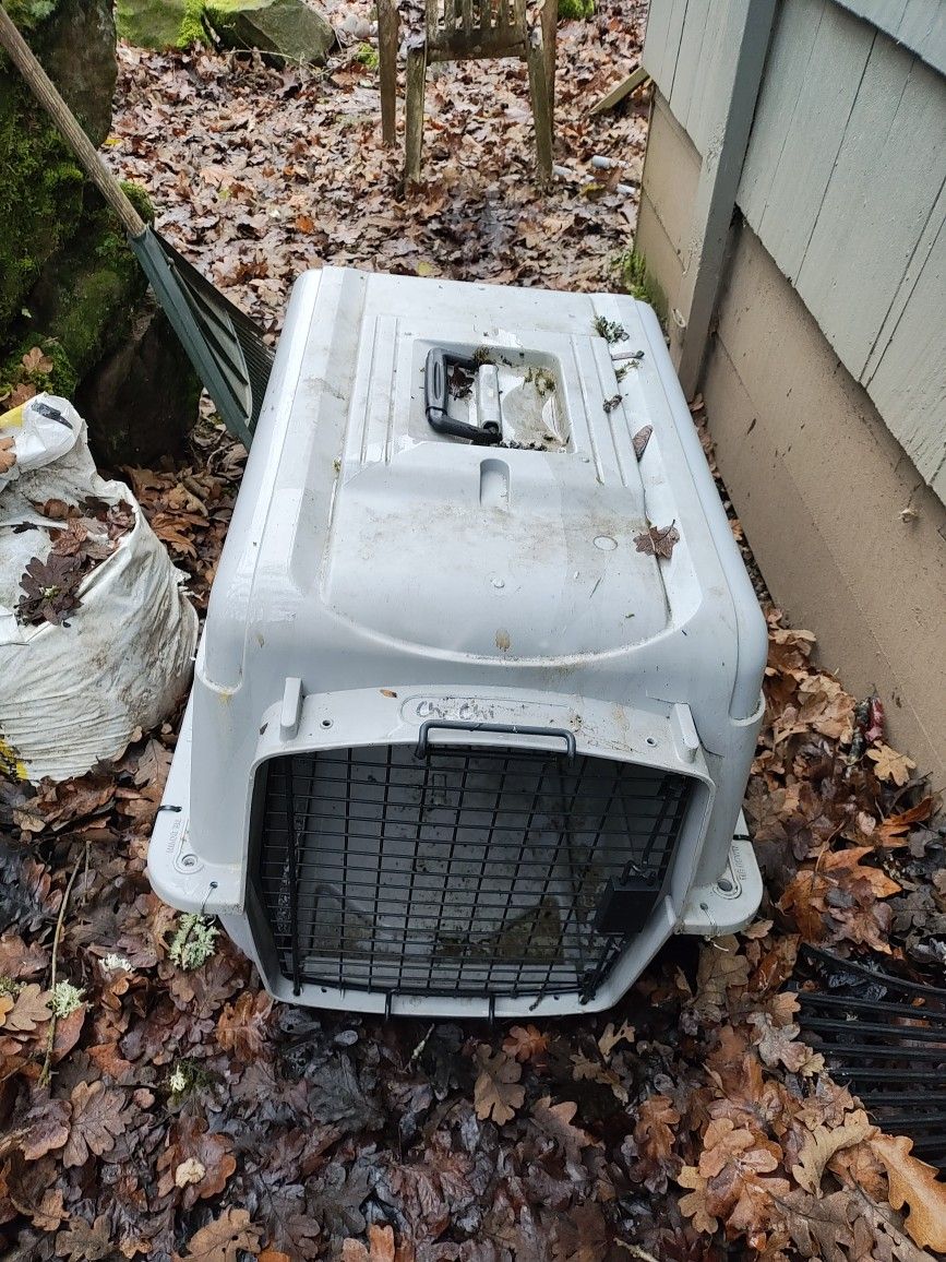Dog Crate