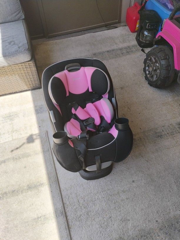 Car Seat/Toddler Seat
