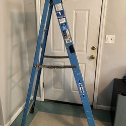 Werner Ladder 6 Ft 