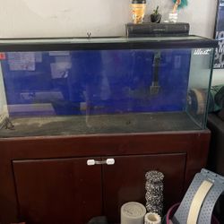 55 Gallon Fish Tank 