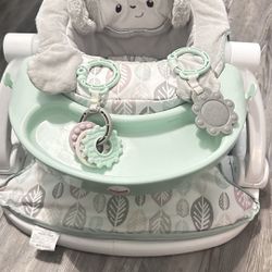 Fisher price Sit Me Up Baby Chair